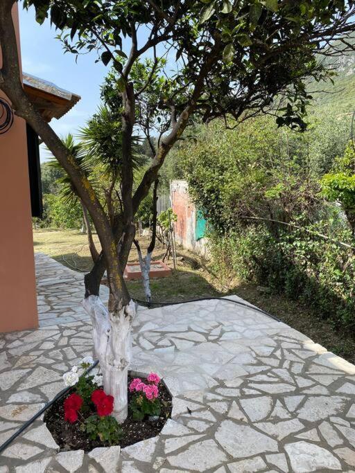 Villa Casa Piccolino Paramonas  Exterior foto