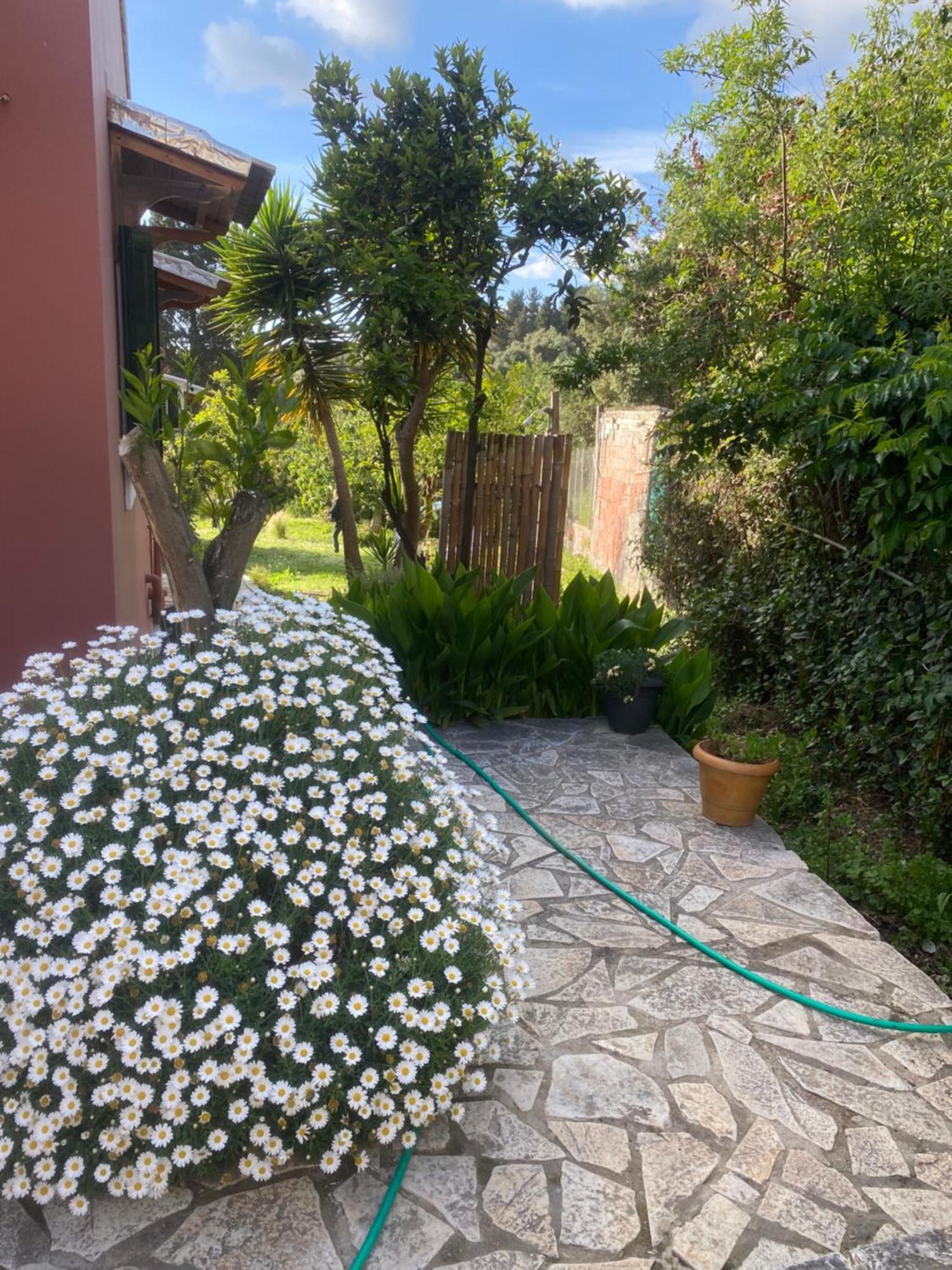 Villa Casa Piccolino Paramonas  Exterior foto